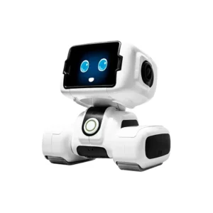 Littlebot – LIRO